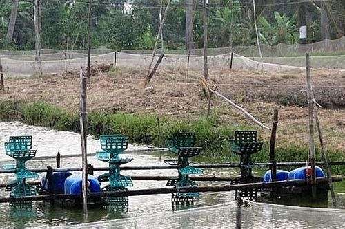 Long An: Hai cha con bị điện giật thương vong