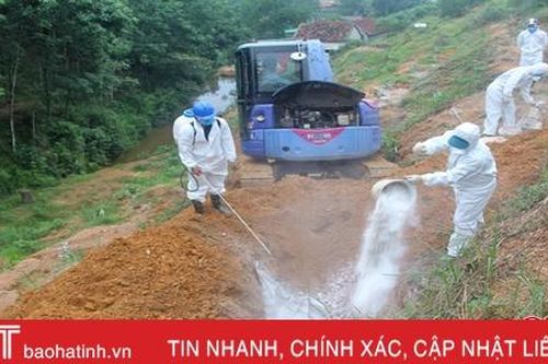 Hà Tĩnh đề nghị hỗ trợ 66,3 tỷ đồng phục vụ phòng chống dịch tả lợn Châu Phi