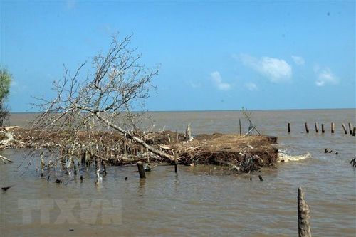 Quảng Trị: Phát hiện hai thi thể nam giới trôi dạt vào bờ biển
