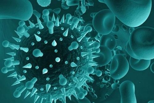 Loại virus gây bệnh 'nụ hôn tử thần' nguy hiểm như thế nào?