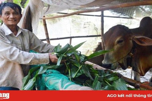 Chuyển đổi sản xuất thích ứng thị trường