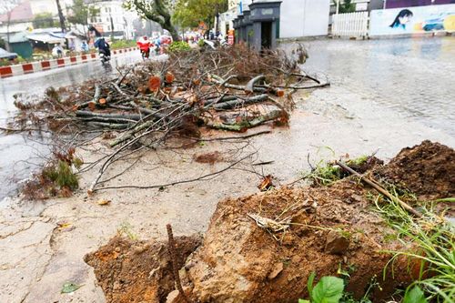 Không chủ quan với lũ quét, sạt lở đất sau bão số 6