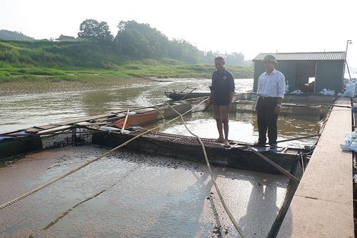 Hiệu quả từ phong trào 'Cựu chiến binh gương mẫu'