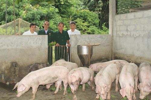 Những 'nòng cốt' của xóm