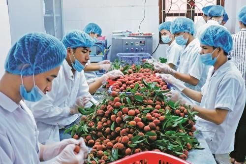 Sáng tạo để nâng cao giá trị cho nông sản