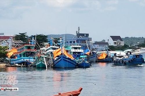 Cà Mau lắp đặt thiết bị giám sát hành trình với 1.023/1.661 tàu cá thuộc diện bắt buộc