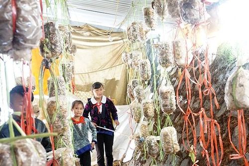 Bảo đảm chế độ chính sách giáo dục vùng cao