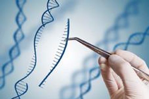 Thành công trong thử nghiệm CRISPR chống ung thư