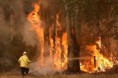 Cháy rừng ở Úc: Quá muộn để di tản, người dân tìm chỗ trú ẩn