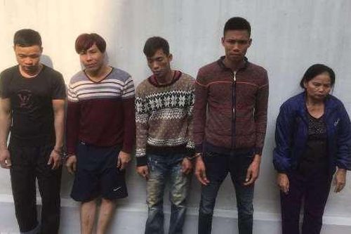 Nữ quái U70 điều hành đường dây trộm chó