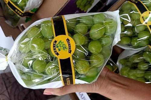 Bốn loại quả Tàu đội lốt hàng Tây, tin lời dân buôn ăn cú hớ nặng