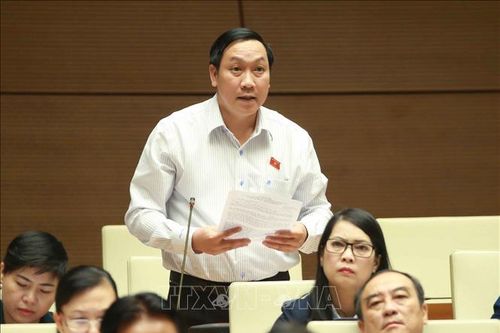 Xem xét kỹ lưỡng các phương án của dự án sân bay Long Thành