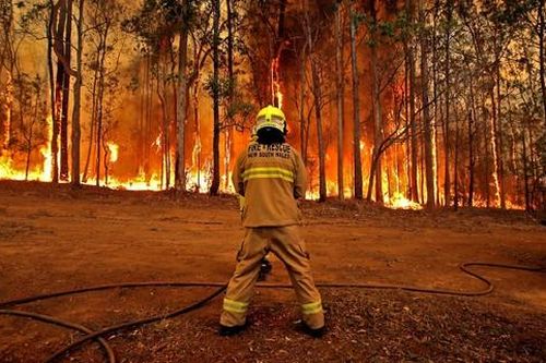 60 đám cháy rừng bao trùm khắp miền Tây-Nam Australia