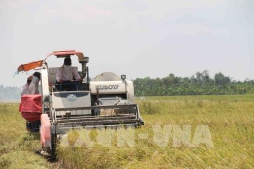Ứng dụng công nghệ viễn thám cho bảo hiểm nông nghiệp