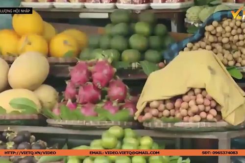 Hà Nội thúc đẩy truy xuất nguồn gốc nông sản