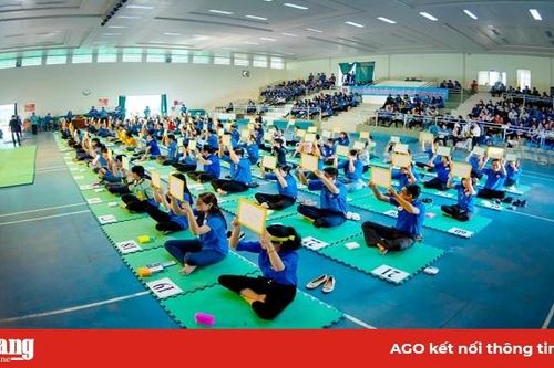 Tư vấn, đối thoại về chính sách các loại bảo hiểm cho cán bộ đoàn, đoàn viên, thanh niên tỉnh