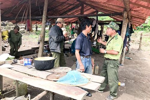 Ngăn chặn lấn chiếm đất rừng