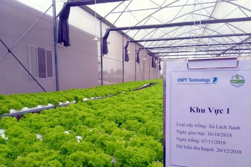 OPTiM Nhật Bản giúp VNPT triển khai nông nghiệp thông minh tại Việt Nam