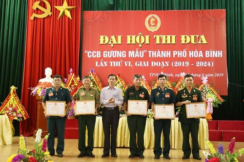 Hòa Bình: Đại hội thi đua Cựu chiến binh gương mẫu