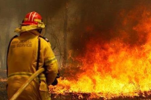 Lính cứu hỏa Australia để lại lời xin lỗi vì uống sữa trong nhà dân