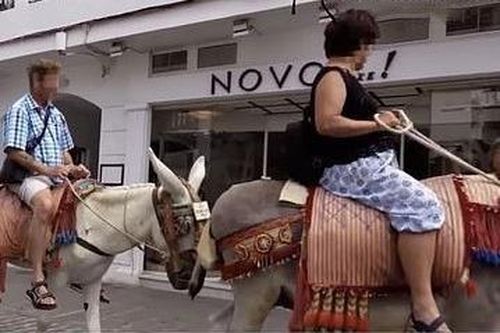 Tây Ban Nha cấm khách du lịch trên 80 kg cưỡi lừa