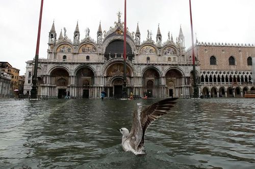 Venice 'thất thủ' vì triều cường cao nhất trong 50 năm