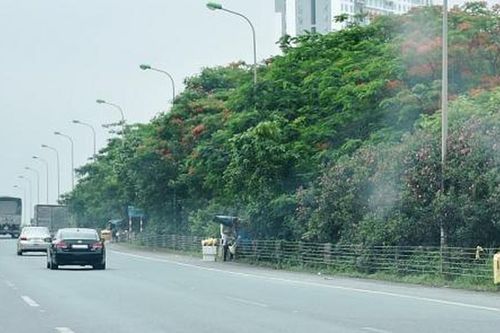 Giỡn mặt thần chết để mưu sinh!