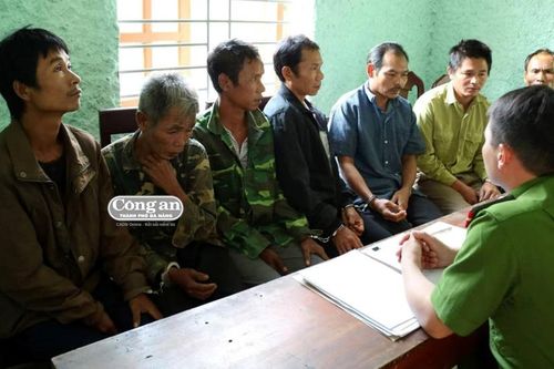 Theo dấu 'bò tặc'