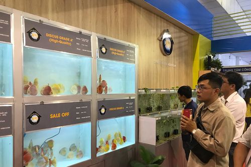 Khai mạc hội chợ công nghệ nuôi trồng, chế biến nông nghiệp