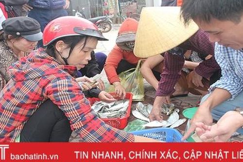 Mùa biển động, ngư dân Lộc Hà đánh lưới gần bờ vẫn 'đút túi' tiền triệu mỗi ngày