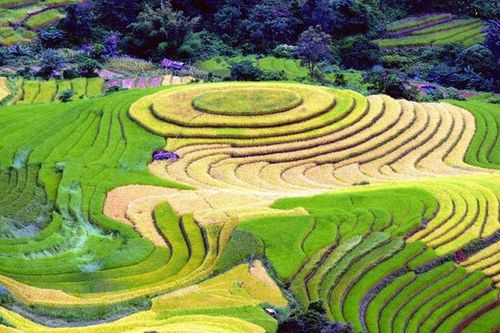 Giao lưu văn hóa quảng bá và thúc đẩy du lịch Việt Nam tại Israel