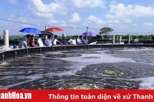 Thêm 9 xã được công nhân 'đạt chuẩn nông thôn mới'