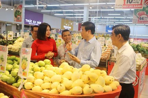 Cơ hội để nhà sản xuất tiếp cận với kênh phân phối hiện đại