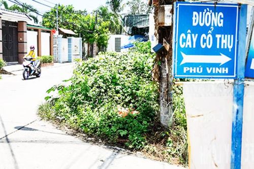 Đề xuất đặt tên cho hơn 230 tuyến đường
