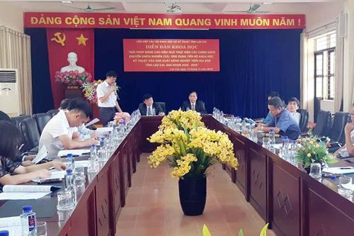 Bàn giải pháp nâng cao hiệu quả thực hiện các chính sách sản xuất nông, lâm nghiệp