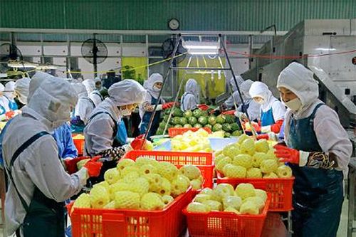 Phát huy vai trò của khoa học-kỹ thuật trong xây dựng nông thôn mới