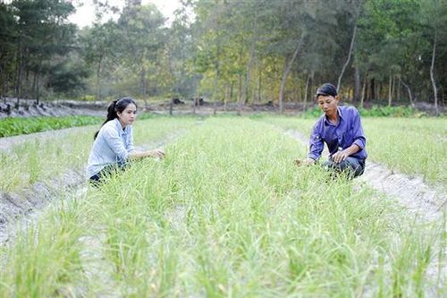 Bây giờ 'chân biển, chân đồng'. Bài 2: Bảo vệ môi trường để phát triển bền vững