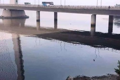 Làm rõ thủ phạm xả thải gây ô nhiễm sông Hàn