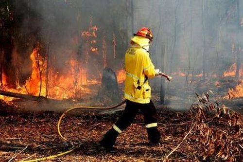 Lính cứu hỏa Úc viết thư xin lỗi người dân vì đã... uống sữa trong nhà