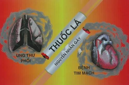 Hút thuốc lá, 15 triệu nam giới mang bệnh cho mình và cộng đồng