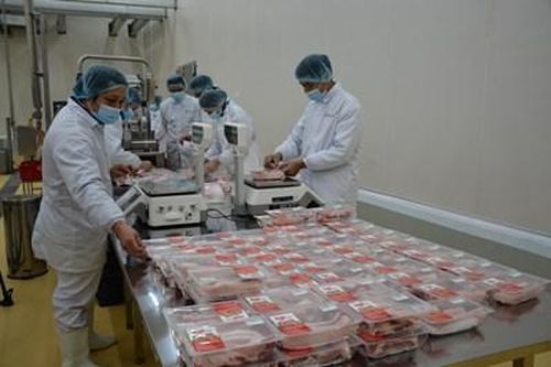 Giá lợn tăng cao đột biến - nguyên nhân do đâu?