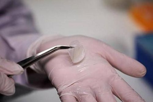 Chế tạo da người trong phòng thí nghiệm