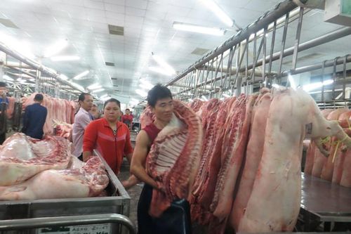 TPHCM muốn bán thịt heo như… chứng khoán