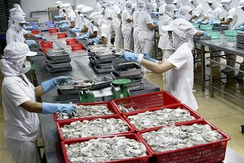 Tăng trưởng mạnh xuất khẩu mực, bạch tuộc Việt Nam sang Mỹ