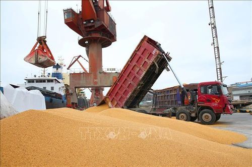 Thương chiến Mỹ-Trung khó 'hạ màn' trong năm 2020