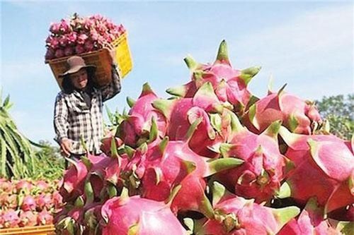 'Sứ giả' chỉ dẫn địa lý ở thị trường Nhật