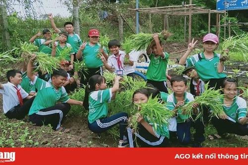 'Vườn rau sạch - gây quỹ giúp bạn học nghèo'