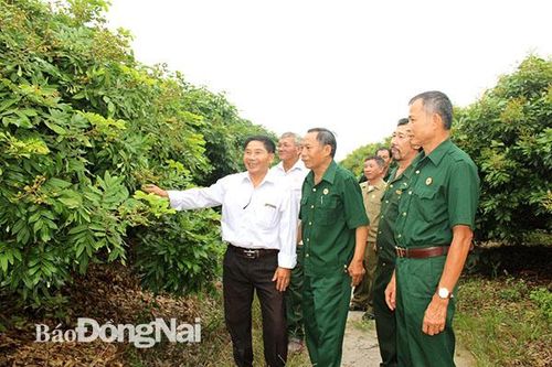 Đẩy mạnh phong trào thi đua cựu chiến binh gương mẫu