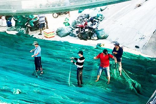 Cải tiến mắt lưới: Góp phần bảo vệ nguồn lợi thủy sản