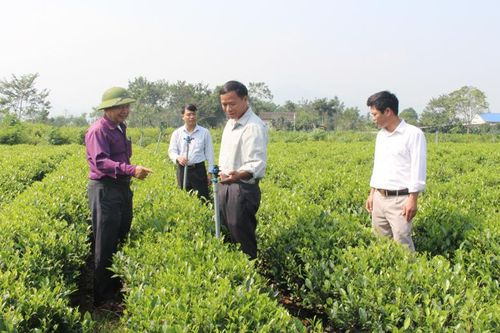 Đa dạng các hoạt động hỗ trợ nông dân